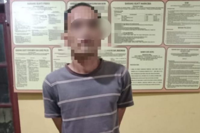 
					Polsek Sosa Tangkap Diduga Pelaku Pelecehan Seksual Anak Dibawah Umur