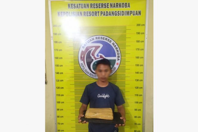 
					Modus Lakban Ganja 700 Gram di Pot Bunga Pinggir Jalan, Pemuda Ini Ditangkap Polisi