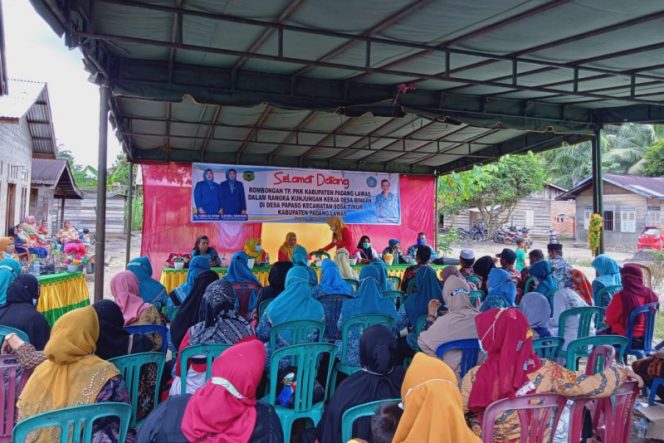 
					Wakil Ketua Tim PKK Palas, Emma Nurul Ahmad Zarnawi Kunjungi Desa Papaso