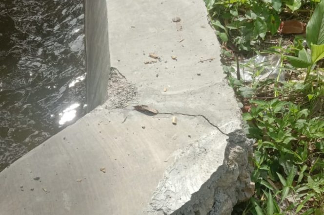 
					Dinilai Tidak Membuat Manfaat, Bangunan Paret Persawahan Bondar Maino di Tolak Petani