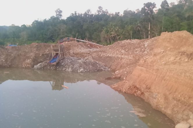 
					6 Unit Alat Berat Milik Penambang Liar Di DAS Batang Gadis ” ngumpet “