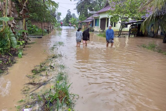 
					Luapan Sungai Aek Mata, Desa Adian Jior Mulai Kebanjiran