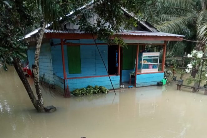 
					Sejumlah Titik Banjir Juga Terjadi di Kecamatan Batahan