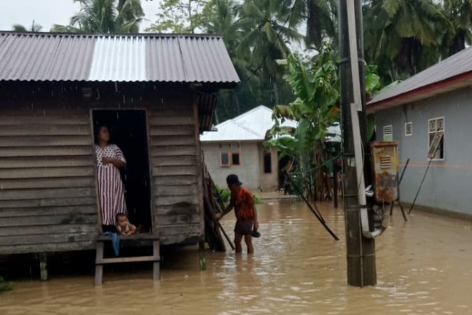 
					Ternak Itik dan Ayam Warga Turut Hilang Saat Banjir Datang
