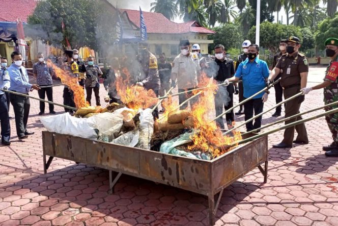 
					Ini Perbandingan Data Kasus Tindak Pidana Yang Ditangani Polres Madina Tahun 2020 dan 2021