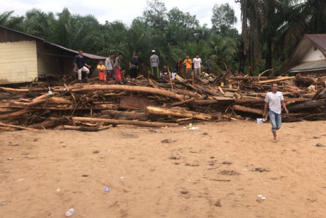 
					Kondisi sejumlah desa saat banjir bandang dipenuhinkayubgelindingan diduga akibat adanya pembalakan liar di hulu sungai sutam