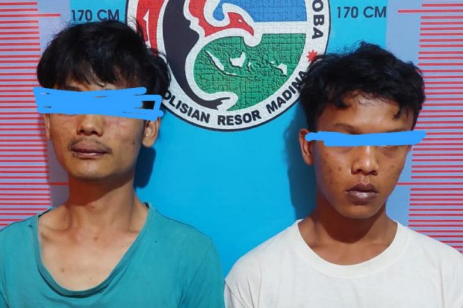 
					Miliki Ganja, 2 Pemuda Asal Hutabargot Ditangkap Polisi di Siabu