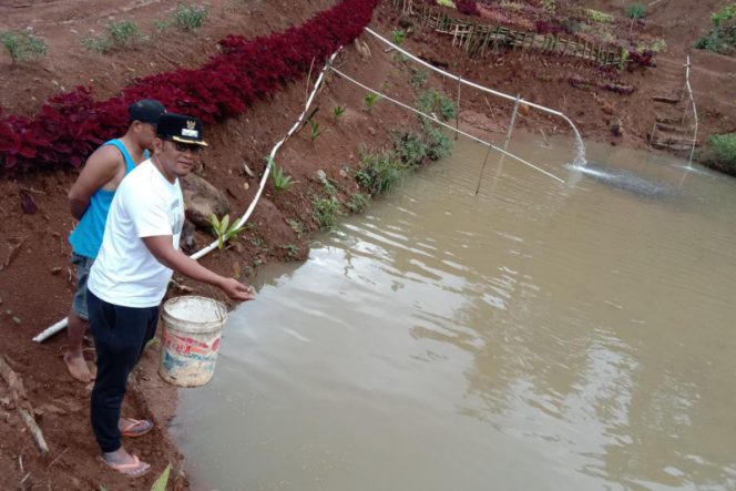 
					Wabup Tapsel: Masyarakat Harus Semangat Bangun Bisnis Mikro Produsen Ikan Air Tawar