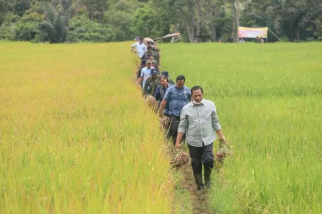 
					Pemko Padangsidimpuan Dorong Potensi Bawang Merah Terus Dikembangkan Petani