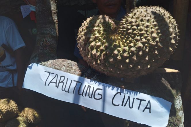 
					Deretan Nama Unik Buah Durian Tambangan, Dari Sicinta Hingga Simeong