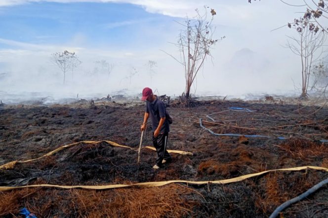 
					Walau Api Telah Padam, Lahan Gambut Desa Sinunukan 6 Masih Keluarkan Asap Tebal