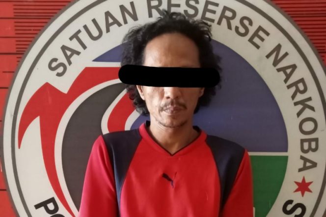 
					Miliki Sabu, Pria Kelurahan Pasar Sibuhuan Diringkus Polisi.