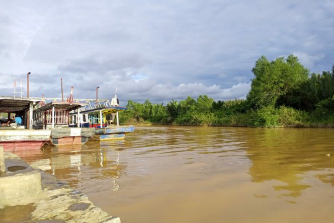 
					PETI Belum Ditertibkan, Faktanya Kondisi Sungai Batang Natal Masih Keruh Memprihatinkan