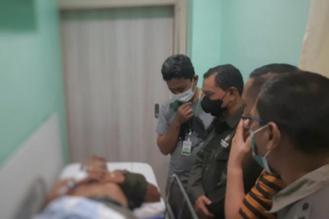 
					Harimau Sumatera Terkam Dokter Hewan, Warga Diminta Hati-Hati