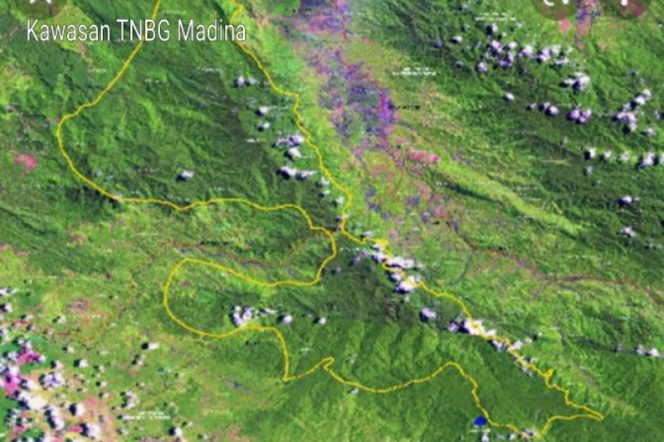 
					Dikabarkan, BPPHLHK Sumut Amankan Alat Berat Serta Pelaku PETI Masuki Kawasan TNBG Madina