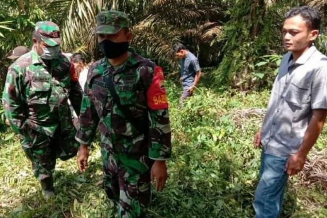 
					Cegah Karhutla, Babinsa Koramil 09/Sosa dan Bhabinkantibmas Polsek Sosa Gelar Patroli