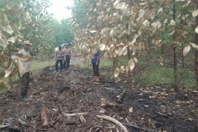 
					Diduga Kebun PT SSL Dibakar OTK, Sat Samapta Polres Palas Turun Padamkan Api