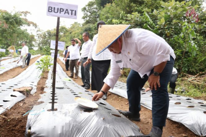 
					Bupati Kenalkan Konsep Pertanian Terintegrasi Untuk Meningkatkan Kesejahteraan Petani Tapsel