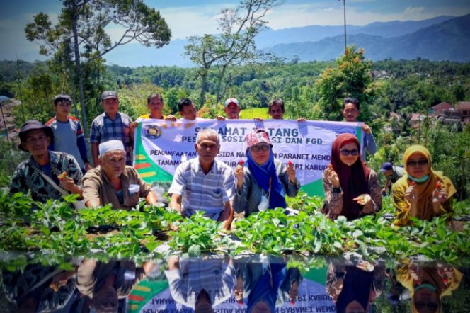 
					LPPM USU Dan Kadis Pariwisata Madina Kunjungi Ekowisata Kebun Stroberi Desa Hutanamale