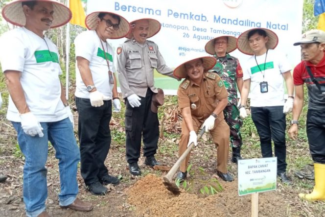 
					Dukung Keputusan Bupati, Camat Tambangan Programkan Tanam Durian Dan Manggis di Desa Tambangan Jae