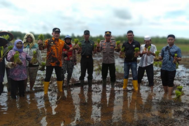 
					Seluas 285 Ha Lahan Polygon di Natal Akan Jadi Areal Persawahan