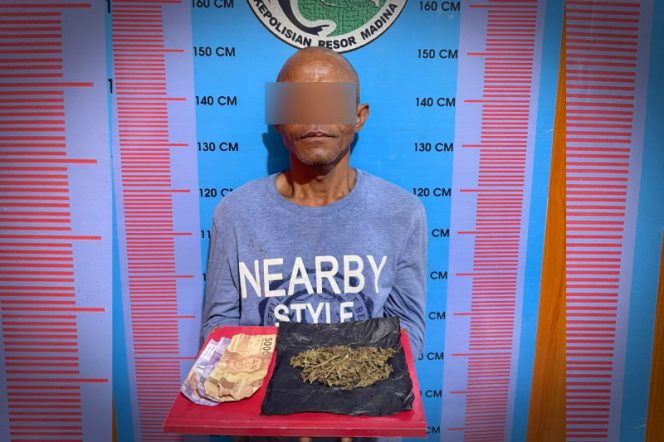 
					Klara, Residivis Kambuhan Bawa Ganja Kembali Diamankan Sat Narkoba Polres Madina
