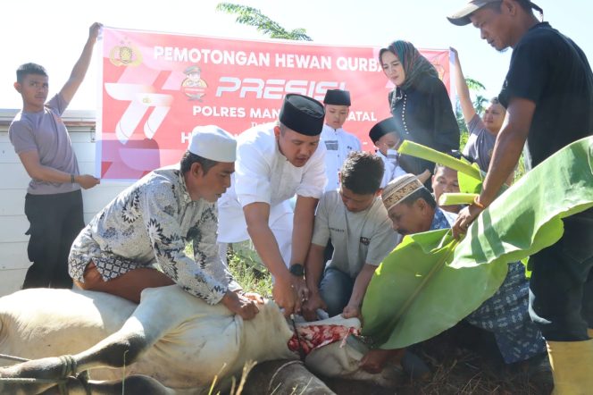 
					Polres Madina Rayakan Idul Adha 2023, Potong Hewan Qurban 9 Sapi dan 1 Kambing
