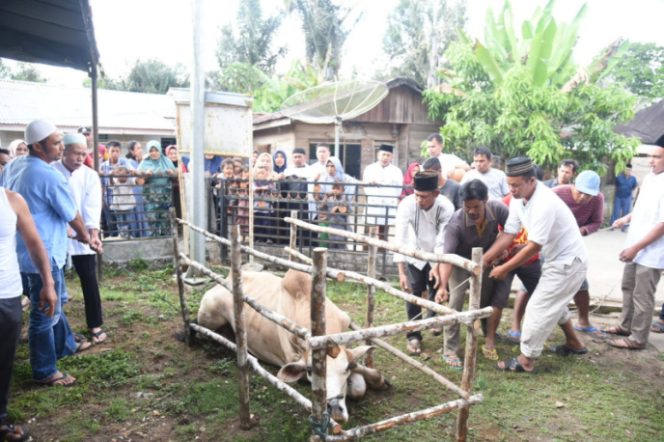 
					Pemkab Tapsel Salurkan Hewan Kurban di 15 Kecamatan