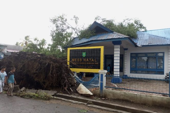 
					Angin Kencang, Mess Natal Hancur Ditimpa 2 Pohon Mahoni Tumbang