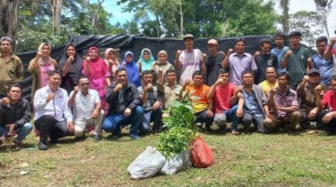 
					Wabup Tapsel Serahkan Bantuan 40. Ribu Bibit Untuk Petani Desa Pahae Aek Sagala
