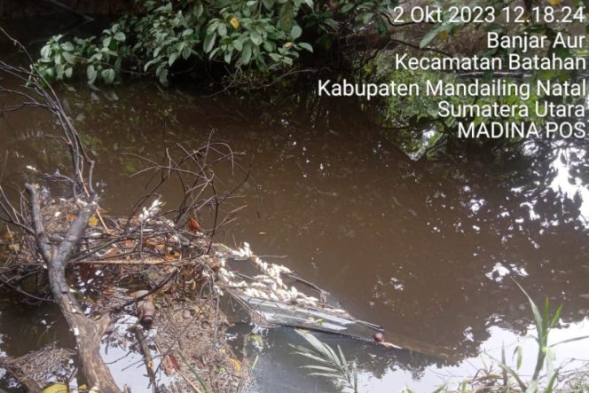 
					Pencemar Sungai Batang Pisusuk Batahan, Bayar Denda 150 Sak Semen Untuk Rehab Mesjid