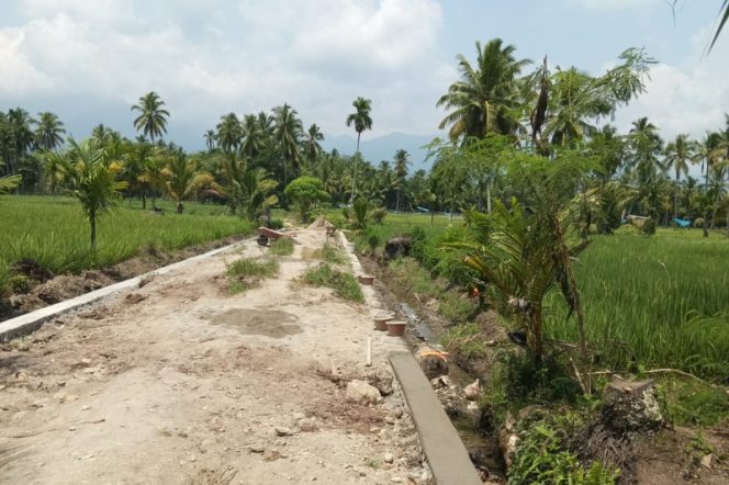
					Fokus Infrastruktur Pertanian, Dana Desa Huraba Sada Bangun Jalan Usaha Tani