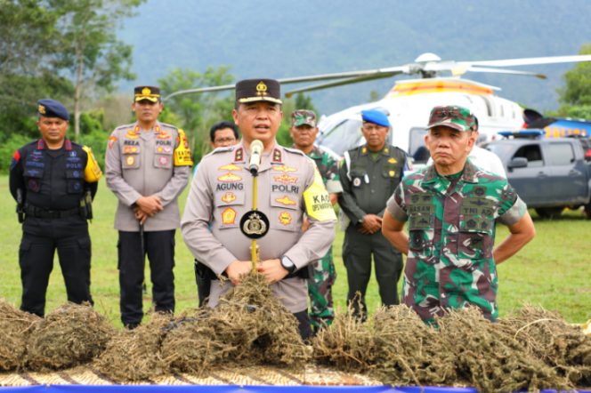
					Pangdam I/BB dan Kapolda Sumut Pimpin Operasi Perburuan Ladang Ganja di Madina
