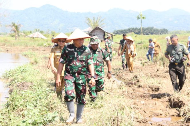
					Dandim 0212/TS Letkol Inf Amrizal Nasution Tinjau Kegiatan Normalisasi Lahan Rawa