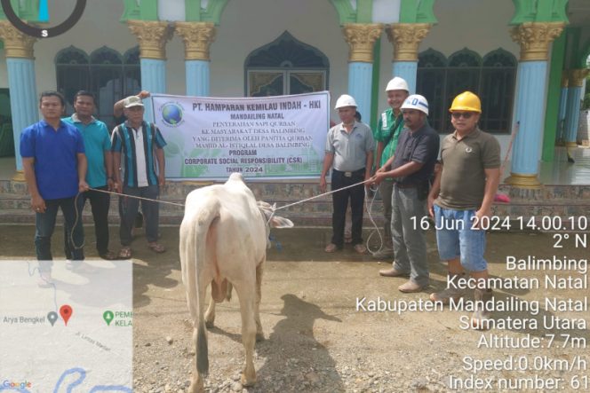 
					PT. HKI Sumbangkan Satu Lembu Kurban ke Desa Belimbing