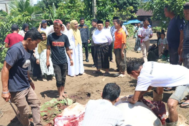 
					Bupati Dolly Bersama Ketua TP PKK Tapsel Tinjau Tiga Lokasi Pemotongan Hewan Kurban