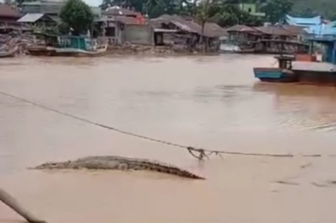 
					Seekor Buaya Besar Kembali Muncul di Muara Sungai Natal, Warga Geger