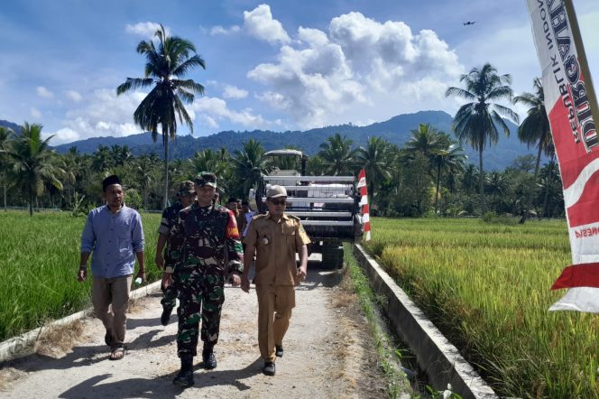 
					Panen Raya di Desa Hutaraja, Camat Siabu : Butuh Kerja Keras Mengalihkan Petani Ke Pola Modern