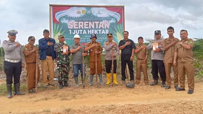 
					Forkopincam MBG Gelar Penanaman Jagung Serentak 1 Juta Hektar di Lokasi Kebun PT.Sasa