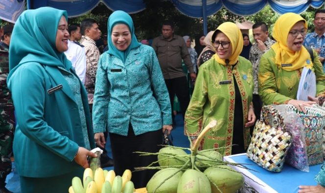 
					Tim Evaluasi PKK Sumut Kunjungi Desa Gunung Tua Baru dan Batang Pane