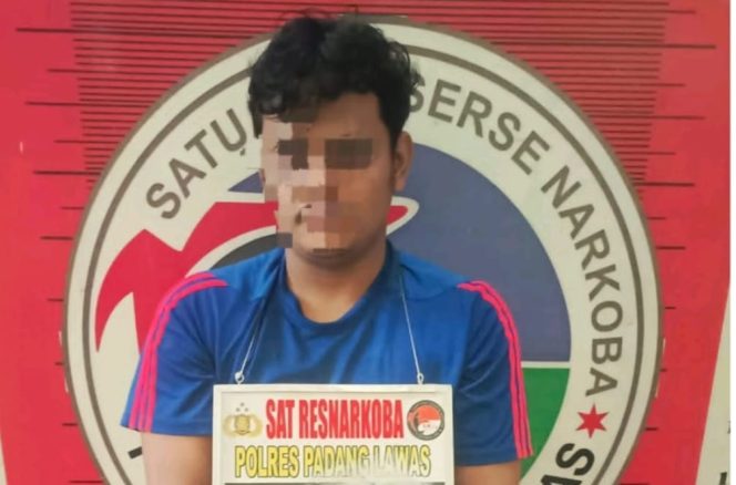 
					Sat Narkoba Polres Padang Lawas Ciduk Pengedar Narkoba Jenis Sabu