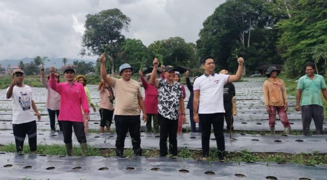 
					Dinas Pertanian Madina dan Kadin Kolaborasi Wujudkan Ketahanan Pangan