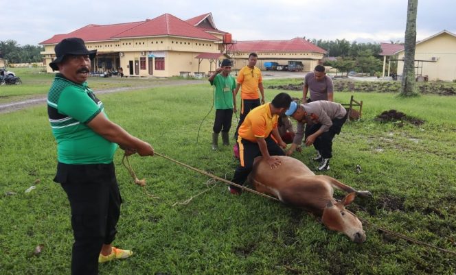 
					Jum’at Berkah Sembelih 2 (dua) Ekor Sapi Menyambut Bulan Suci Ramadhan 1446 H/2025 M