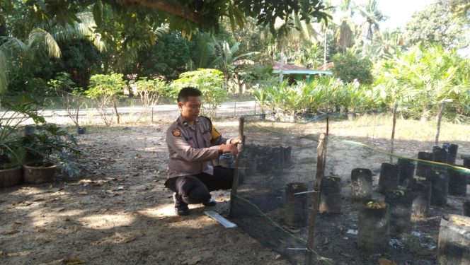 
					Support Ketahanan Pangan, Bhabinkamtibmas Polsek Barteng Giat Perawatan Pekarangan Bergizi