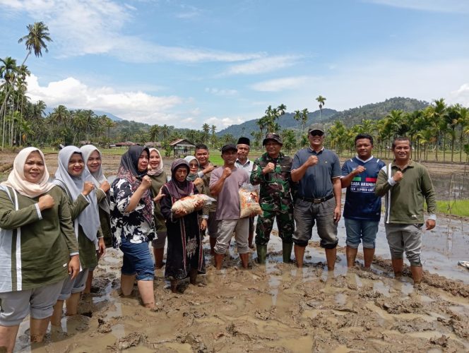 
					Danramil 14 Kotanopan Ikuti Tanam Padi Bersama Dirjen Tanaman Pangan Kementan RI