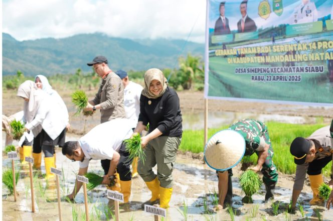 
					Pemkab Madina Dukung Penegakan Hukum Kepada Pangkalan Pupuk Subsidi Nakal