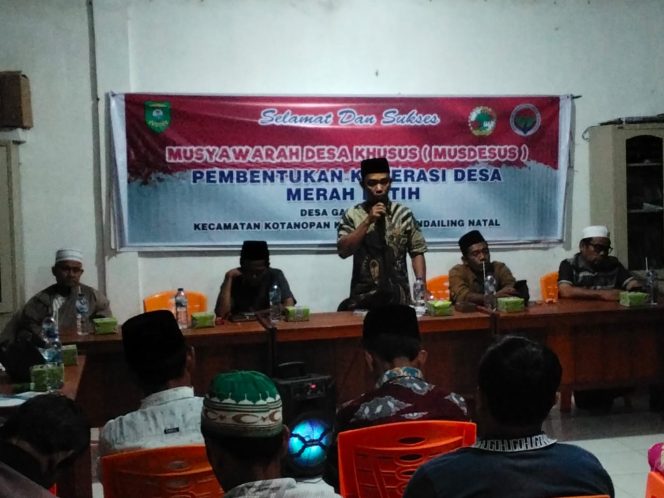 
					Koperasi Merah Putih Desa Gading Bain Kotanopan Terbentuk, Berikut Pengurusnya