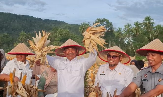 
					Bupati Madina Panen Raya Jagung di Lahan Reklamasi Tambang Kotanopan