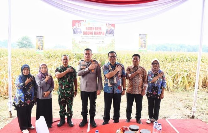 
					Panen Jagung Tahap II, Polresta dan Pemkab Deli Serdang Perkuat Ketahanan Pangan Nasional
