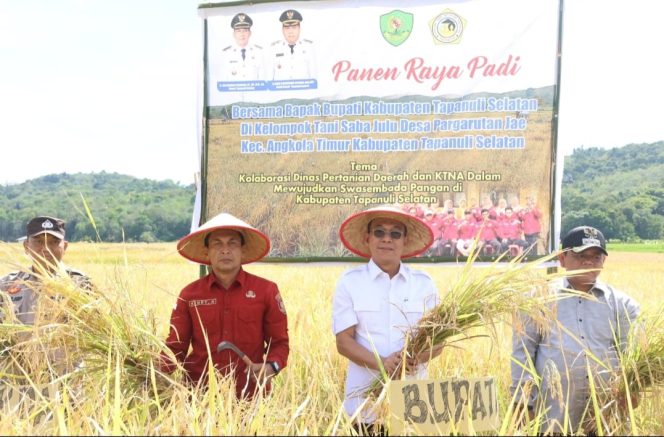 
					Bupati Gus Irawan Pimpin Langsung Panen Raya Padi di Desa Pargarutan Jae Tapse